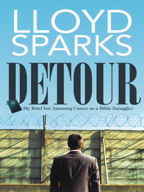 Cover of the book Detour by Lloyd Sparks, iUniverse