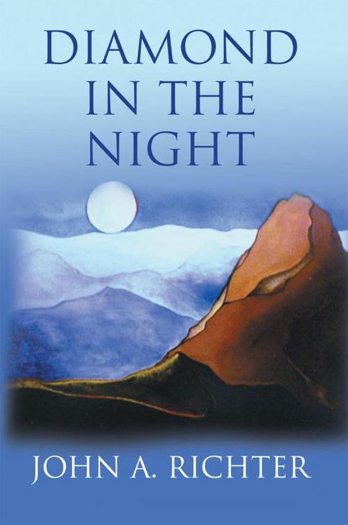 Cover of the book Diamond in the Night by John A. Richter, Xlibris US