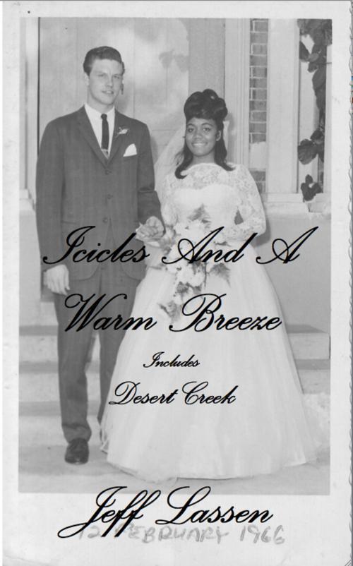 Cover of the book Icicles And A Warm Breeze by Jeff Lassen, StreetWise Publications