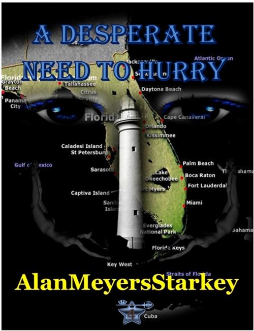 Cover of the book A Desperate Need to Hurry by Alan Meyers Starkey, Alan Meyers Starkey