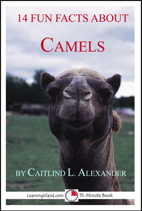 Cover of the book 14 Fun Facts About Camels: A 15-Minute Book by Caitlind L. Alexander, LearningIsland.com