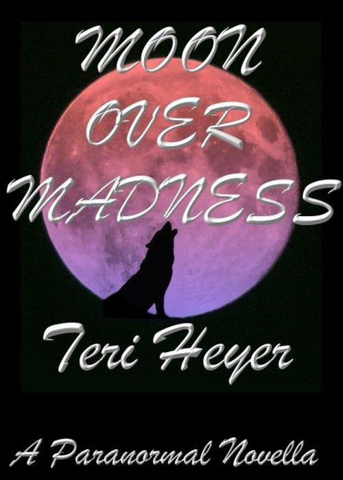 Cover of the book Moon Over Madness by Teri Heyer, Teri Heyer
