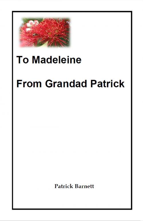 Cover of the book To Madeleine From Grandad Patrick by Patrick Barnett, Patrick Barnett