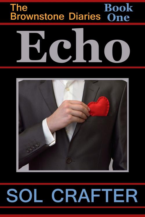 Cover of the book Echo by Sol Crafter, Kimichee