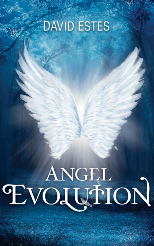 Cover of the book Angel Evolution by David Estes, David Estes