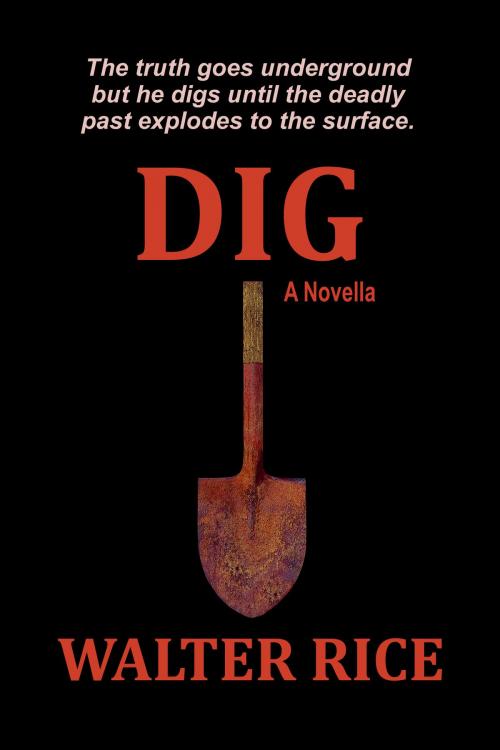 Cover of the book Dig by Walter Rice, Walter Rice