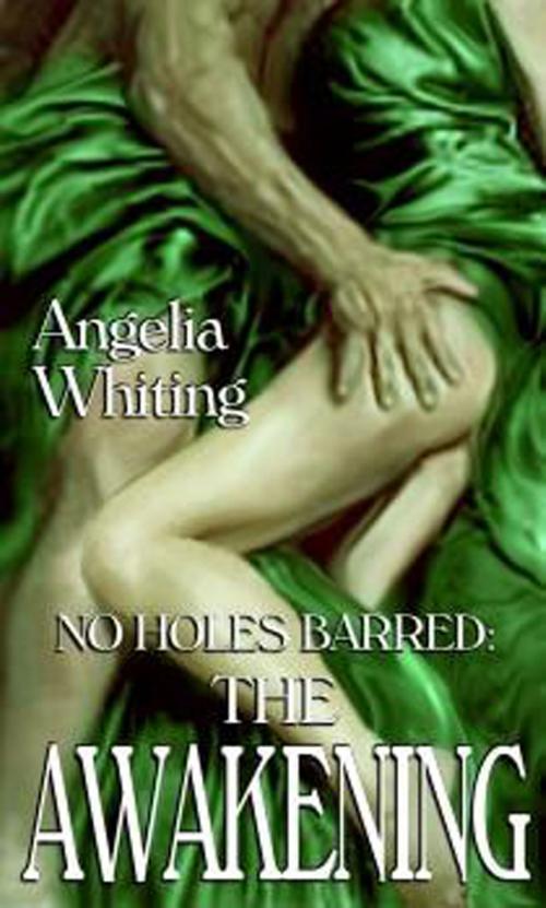 Cover of the book No Holes Barred: The Awakening by Angelia Whiting, New Concepts Publishing