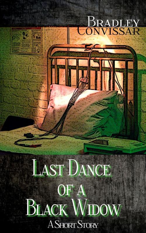 Cover of the book Last Dance of a Black Widow by Bradley Convissar, Bradley Convissar
