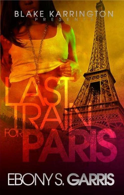 Cover of the book Last Train For Paris by Blake Karrington, Blake Karrington