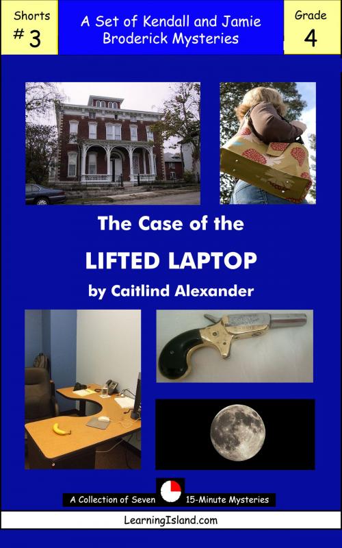 Cover of the book The Case of the Lifted Laptop by Caitlind L. Alexander, LearningIsland.com
