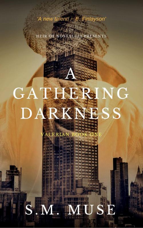 Cover of the book A Gathering of Darkness by S.M. Muse, S.M. Muse