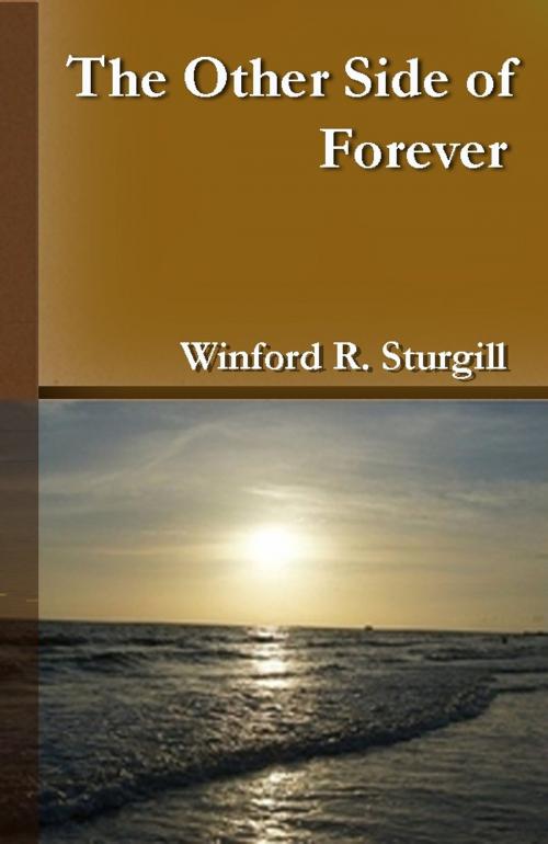 Cover of the book The Other Side of Forever by Winford R. Sturgill, Winford R. Sturgill