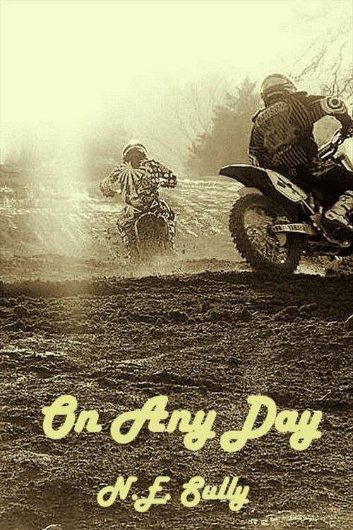 Cover of the book On Any Day by NE Sully, NE Sully
