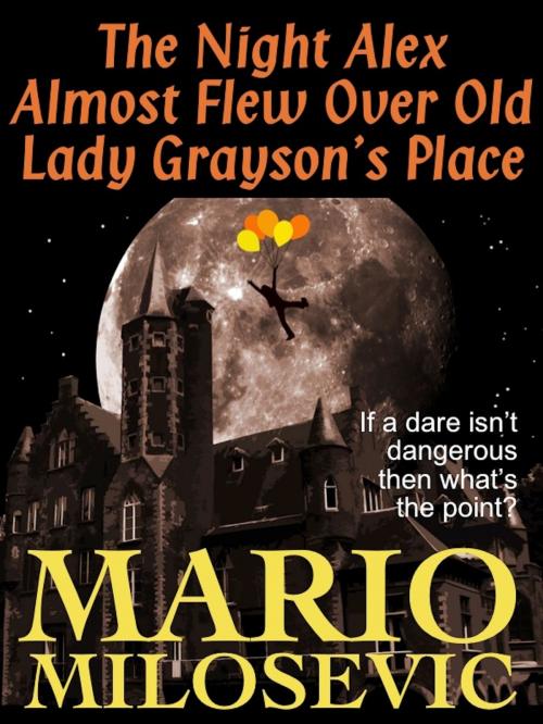 Cover of the book The Night Alex Almost Flew Over Old Lady Grayson's Place by Mario Milosevic, Green Snake Publishing