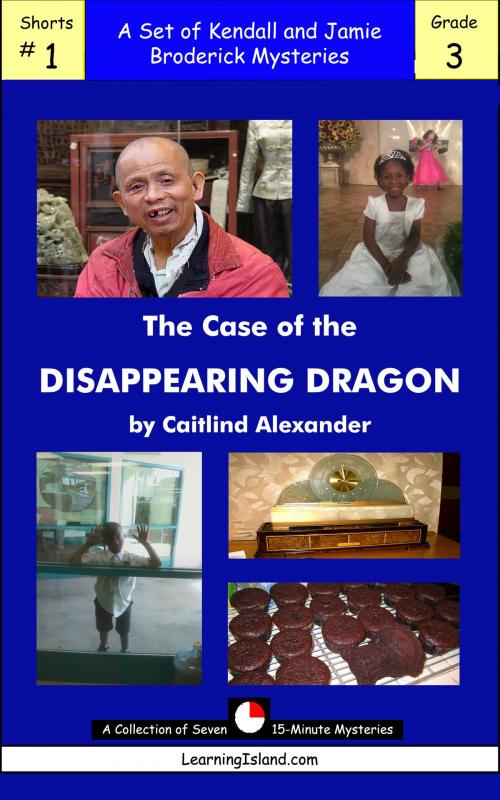 Cover of the book The Case of the Disappearing Dragon by Caitlind L. Alexander, LearningIsland.com