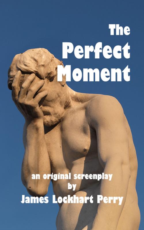 Cover of the book The Perfect Moment by James Lockhart Perry, James Lockhart Perry