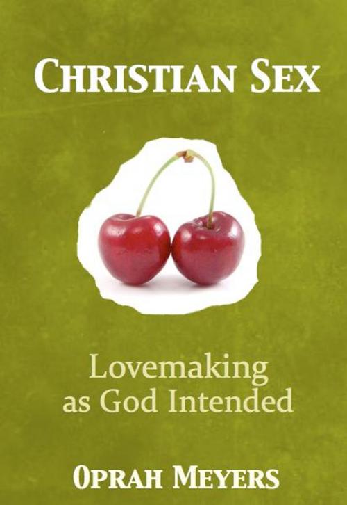 Cover of the book Christian Sex-Lovemaking as God Intended by Naomi Ryan, Naomi Ryan