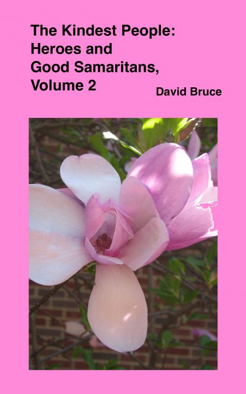 Cover of the book The Kindest People: Heroes and Good Samaritans (Volume 2) by David Bruce, David Bruce