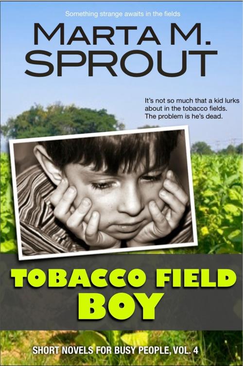 Cover of the book Tobacco Field Boy by Marta Sprout, StormRider Publishing