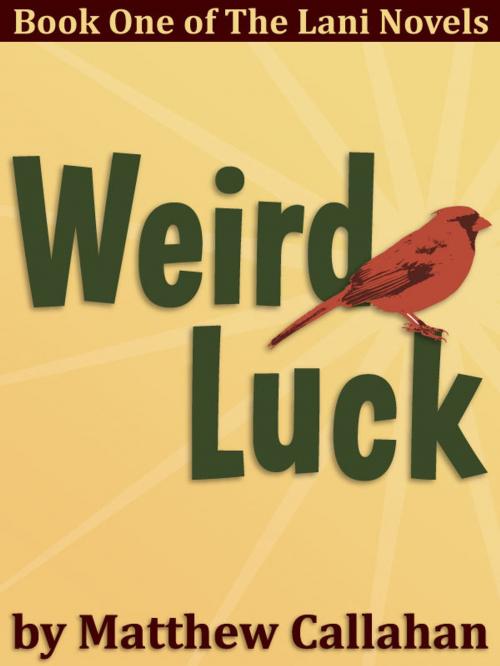Cover of the book Weird Luck by Matthew Callahan, Matthew Callahan