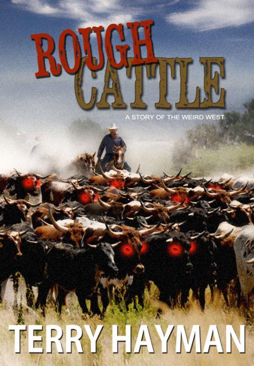 Cover of the book Rough Cattle by Terry Hayman, Fiero Publishing