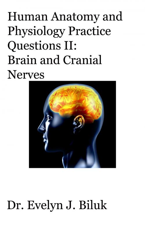 Cover of the book Human Anatomy and Physiology Practice Questions II: Brain and Cranial Nerves by Dr. Evelyn J Biluk, Dr. Evelyn J Biluk