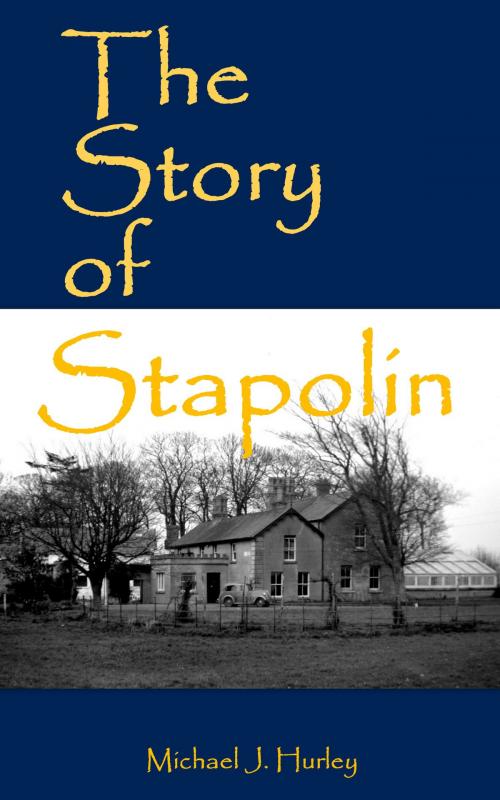 Cover of the book The Story of Stapolin by Michael J. Hurley, Michael J. Hurley