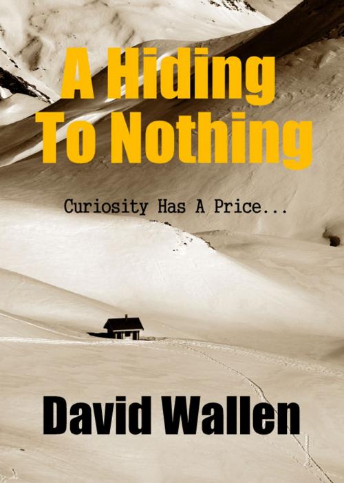 Cover of the book A Hiding To Nothing by David Wallen, David Wallen
