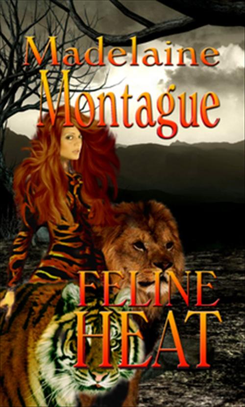 Cover of the book Feline Heat by Madelaine Montague, New Concepts Publishing