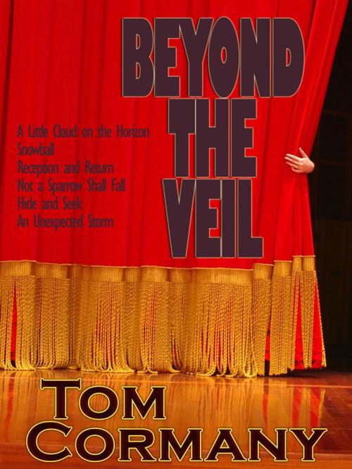 Cover of the book Beyond the Veil by Tom Cormany, Tom Cormany