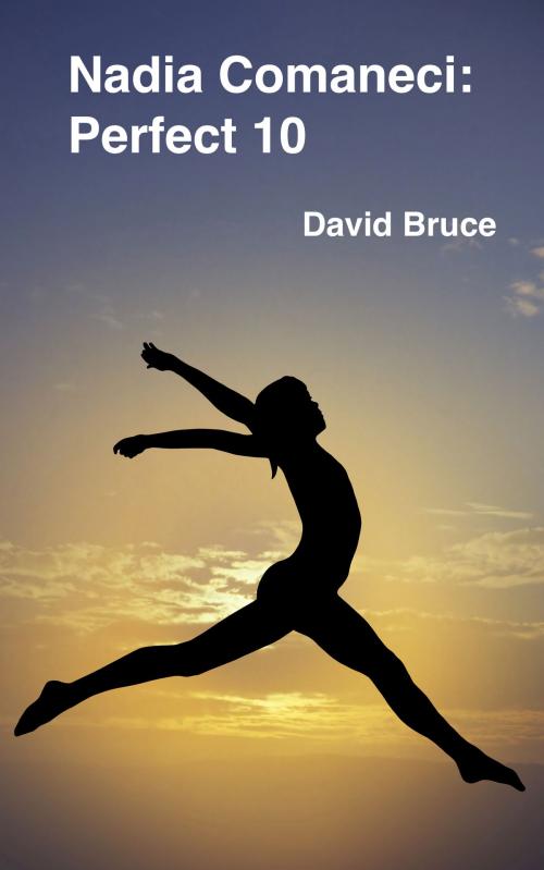 Cover of the book Nadia Comaneci: Perfect 10 by David Bruce, David Bruce