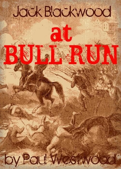 Cover of the book At Bull Run by Paul Westwood, Paul Westwood