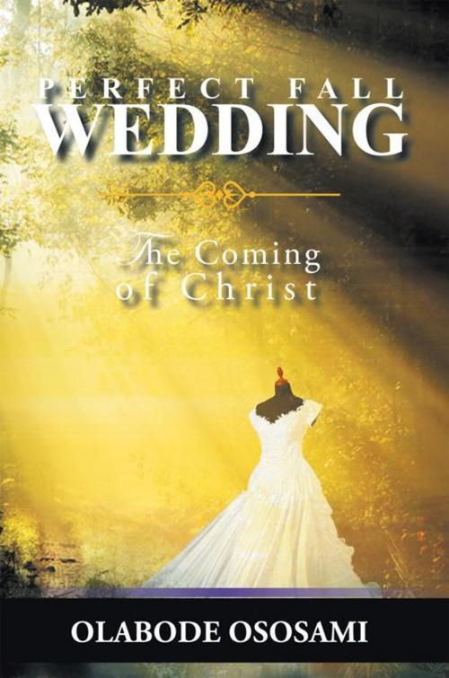 Cover of the book Perfect Fall Wedding by Olabode Ososami, AuthorHouse UK