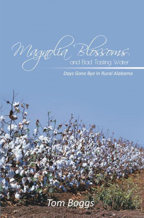 Cover of the book Magnolia Blossoms and Bad Tasting Water by Tom Boggs, AuthorHouse