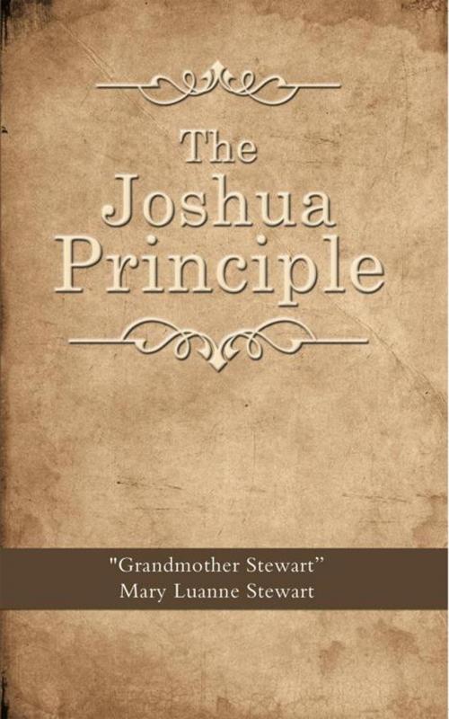 Cover of the book The Joshua Principle by Mary Luanne Stewart, AuthorHouse