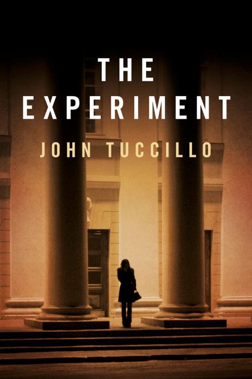 Cover of the book The Experiment by John Tuccillo, BookBaby