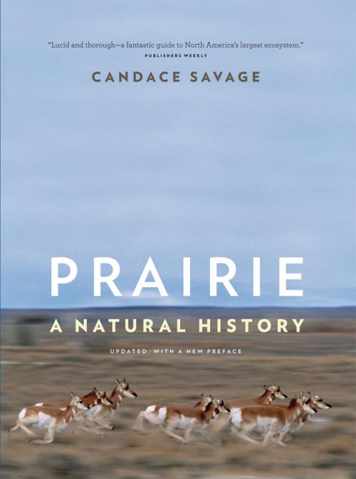 Cover of the book Prairie by Candace Savage, Greystone Books Ltd.