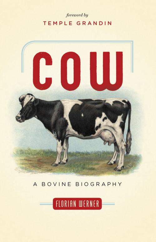 Cover of the book Cow by Florian Werner, Greystone Books Ltd.