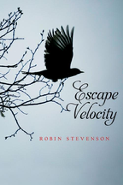 Cover of the book Escape Velocity by Robin Stevenson, Orca Book Publishers