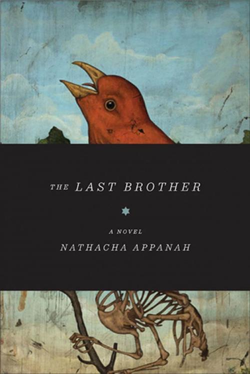 Cover of the book The Last Brother by Nathacha Appanah, Graywolf Press