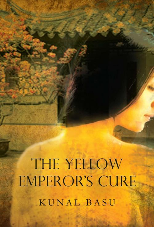 Cover of the book Yellow Emperor's Cure by Kanal Basu, ABRAMS