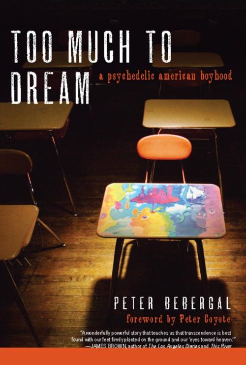 Cover of the book Too Much to Dream by Peter Bebergal, Soft Skull Press