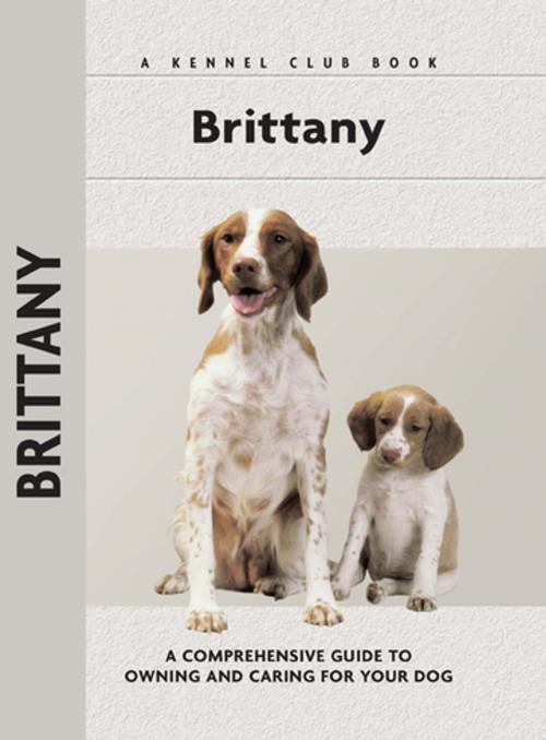 Cover of the book Brittany by Richard G. Beauchamp, CompanionHouse Books