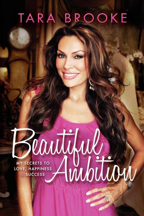 Cover of the book Beautiful Ambition by Tara Brooke, Morgan James Publishing