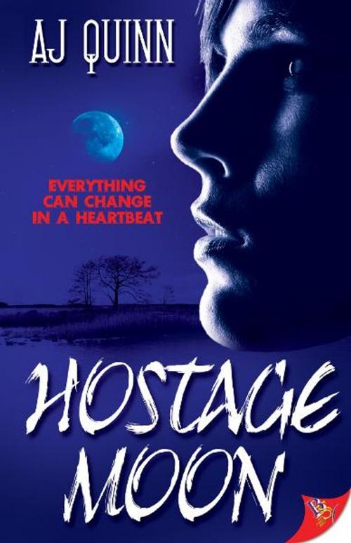 Cover of the book Hostage Moon by AJ Quinn, Bold Strokes Books, Inc.