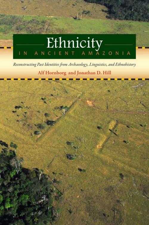 Cover of the book Ethnicity in Ancient Amazonia by , University Press of Colorado