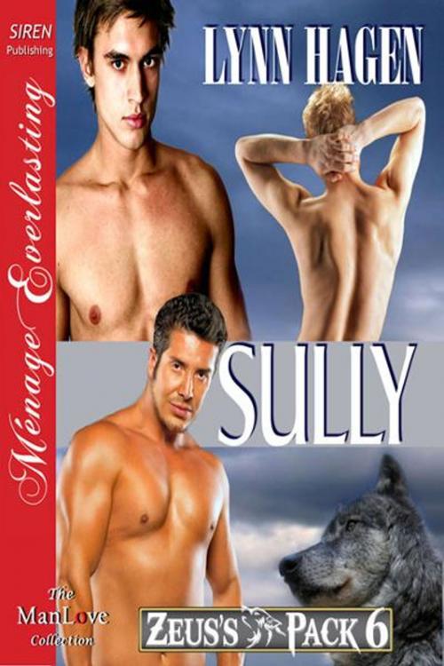 Cover of the book Sully by Lynn Hagen, SirenBookStrand