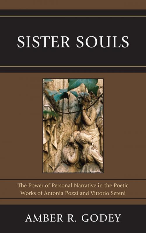 Cover of the book Sister Souls by Amber R. Godey, Fairleigh Dickinson University Press