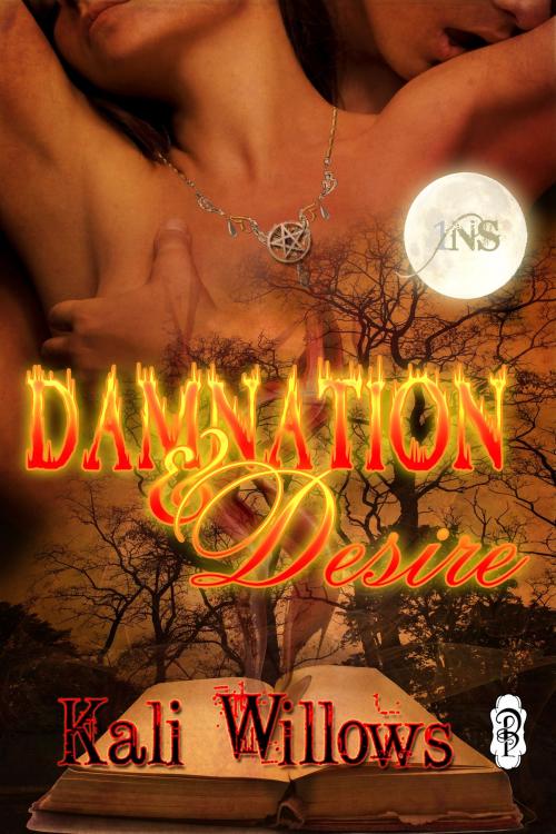 Cover of the book Damnation and Desire by Kali Willlows, Decadent Publishing
