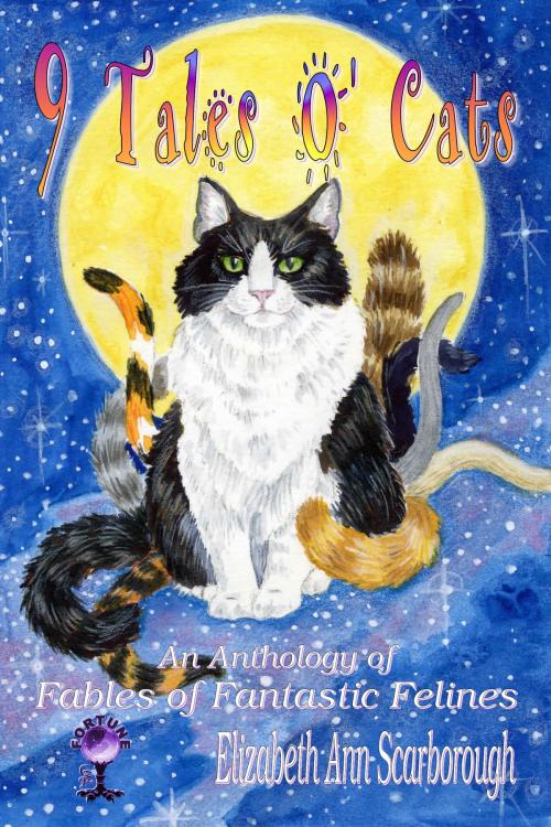Cover of the book 9 Tales O' Cats by Elizabeth Ann Scarborough, Gypsy Shadow Publishing, LLC